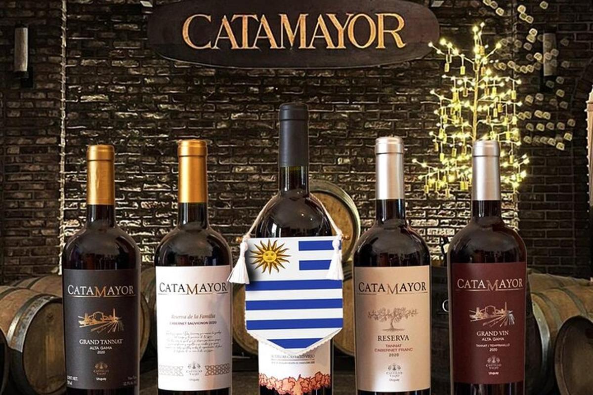 un gruppo di bottiglie di vino appoggiate su un tavolo