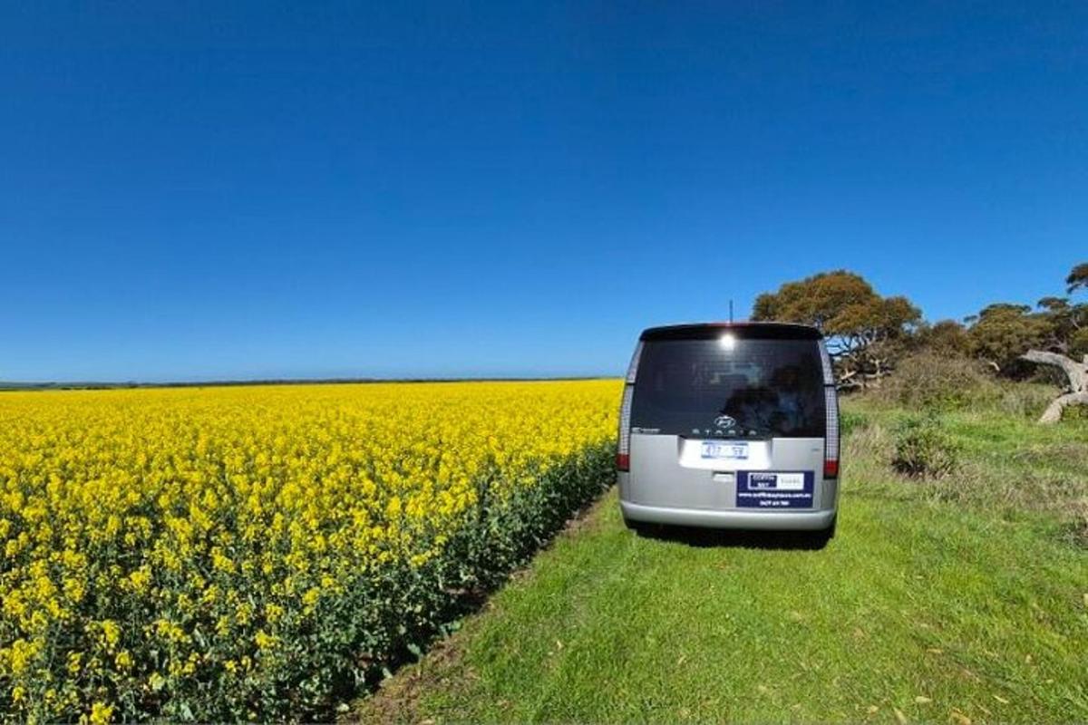 a bus driving through a field of yellow flowers