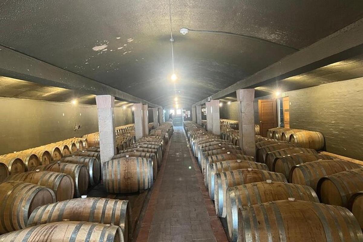 una filera de bótes de vi en un celler