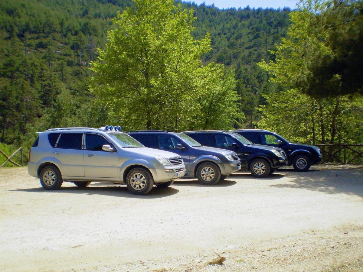 a row of cars parked in a parking lot