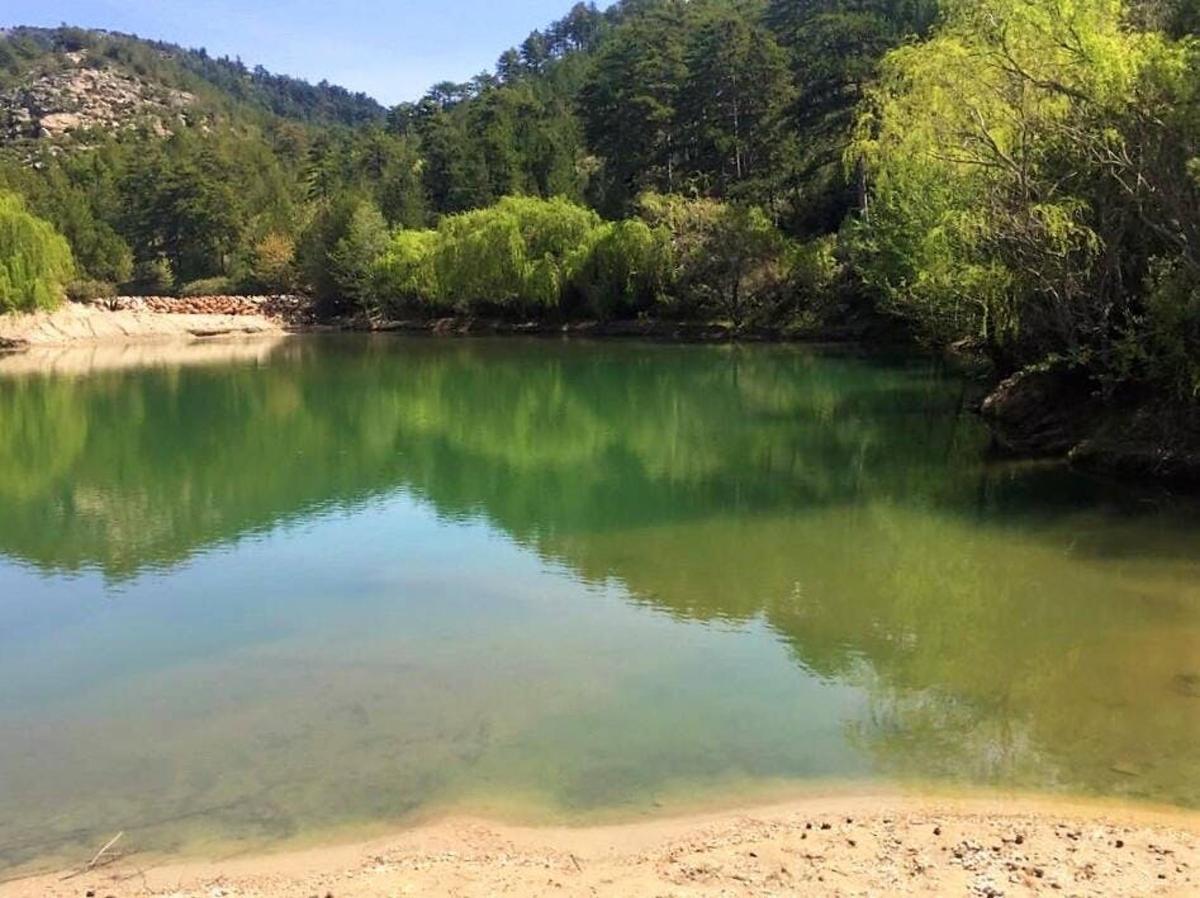 a large body of water with trees in the background