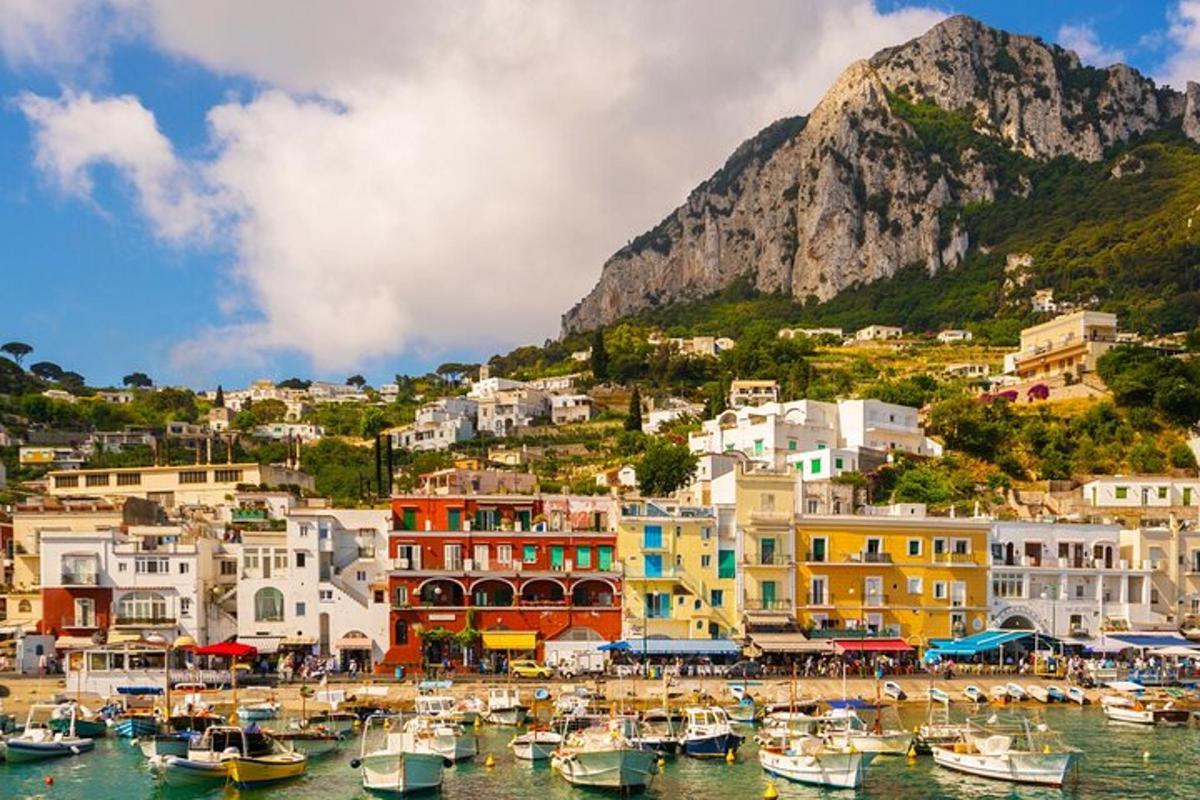 a group of boats in a harbor with a mountain