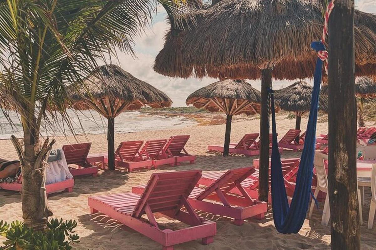 sekelompok kursi dan payung di pantai