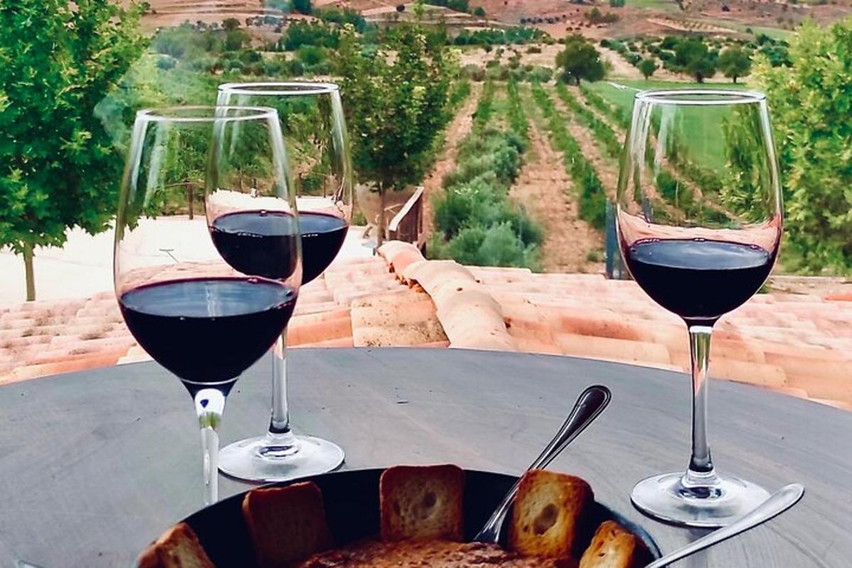 two glasses of red wine and a plate of food