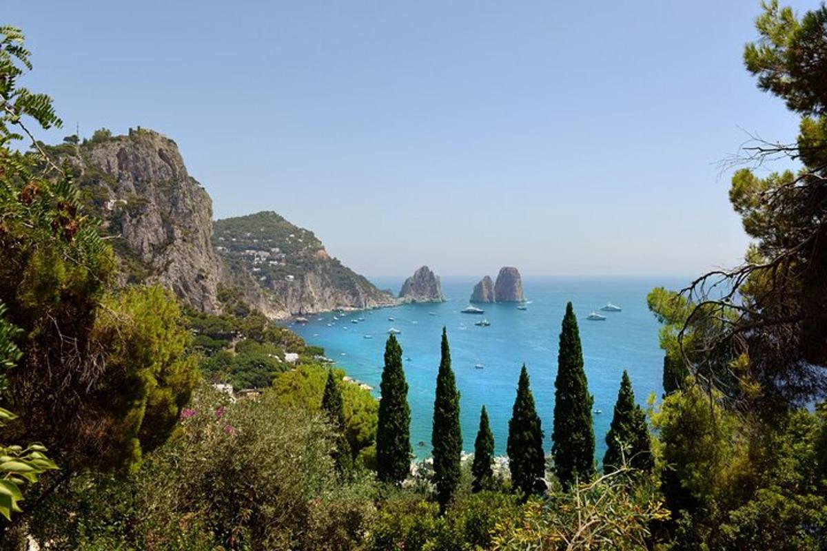 una vista di una baia con alberi e rocce