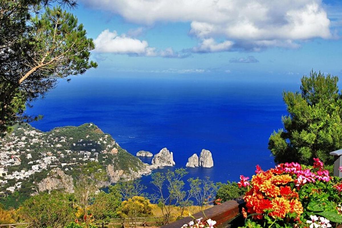 một góc nhìn về bờ biển Amalfi với những bông hoa