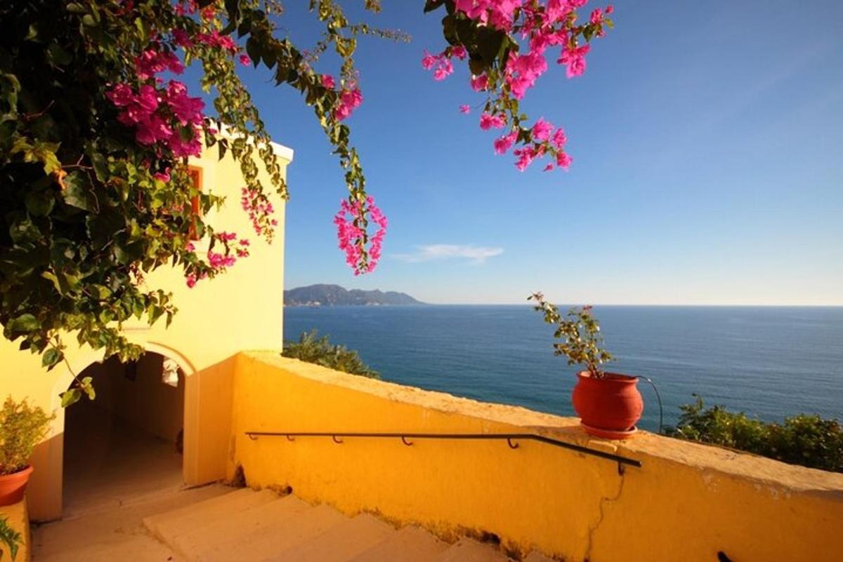 una vista dell'oceano da un muro giallo con fiori
