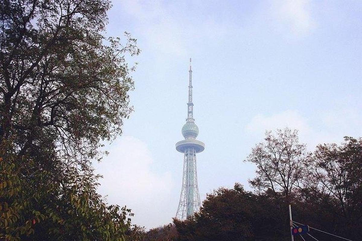 天空中的电视塔，前景是树木
