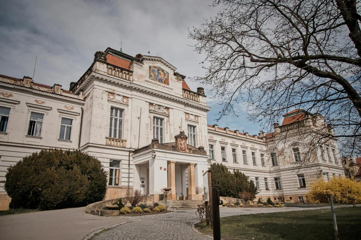velika bela stavba z drevesom pred njo