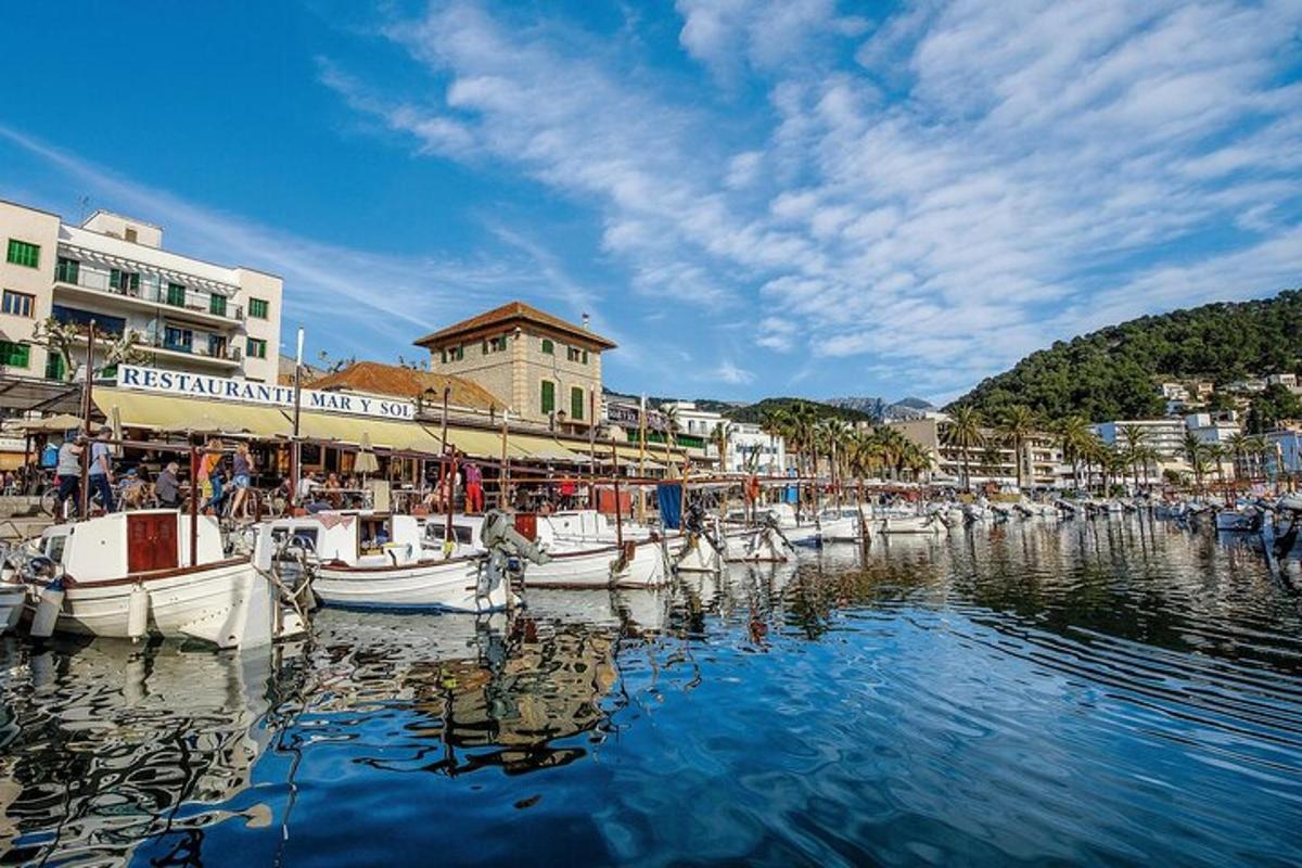 a group of boats are docked in a harbor