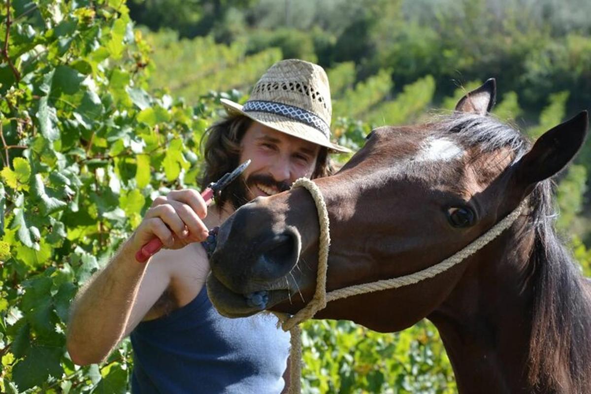 un uomo con un cappello da cowboy che dà da mangiare a un cavallo