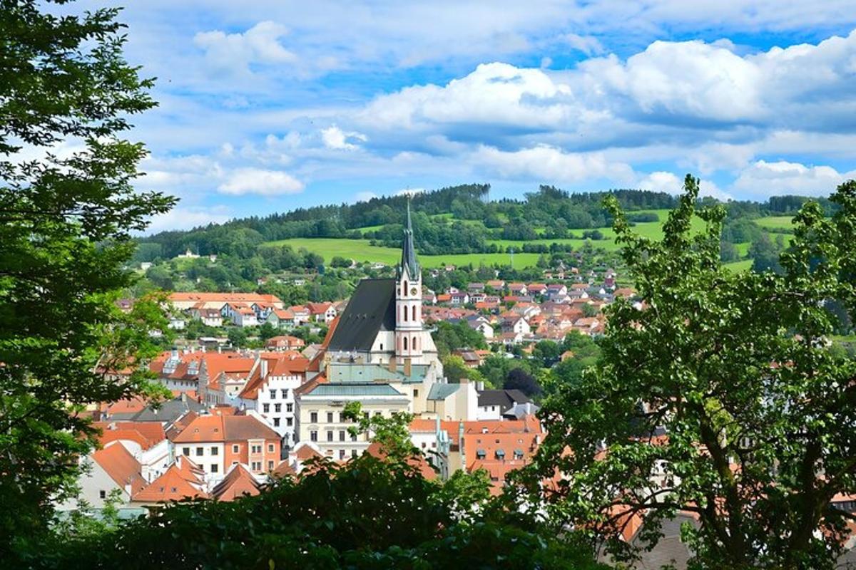 pohled na město s kostelem a stromy