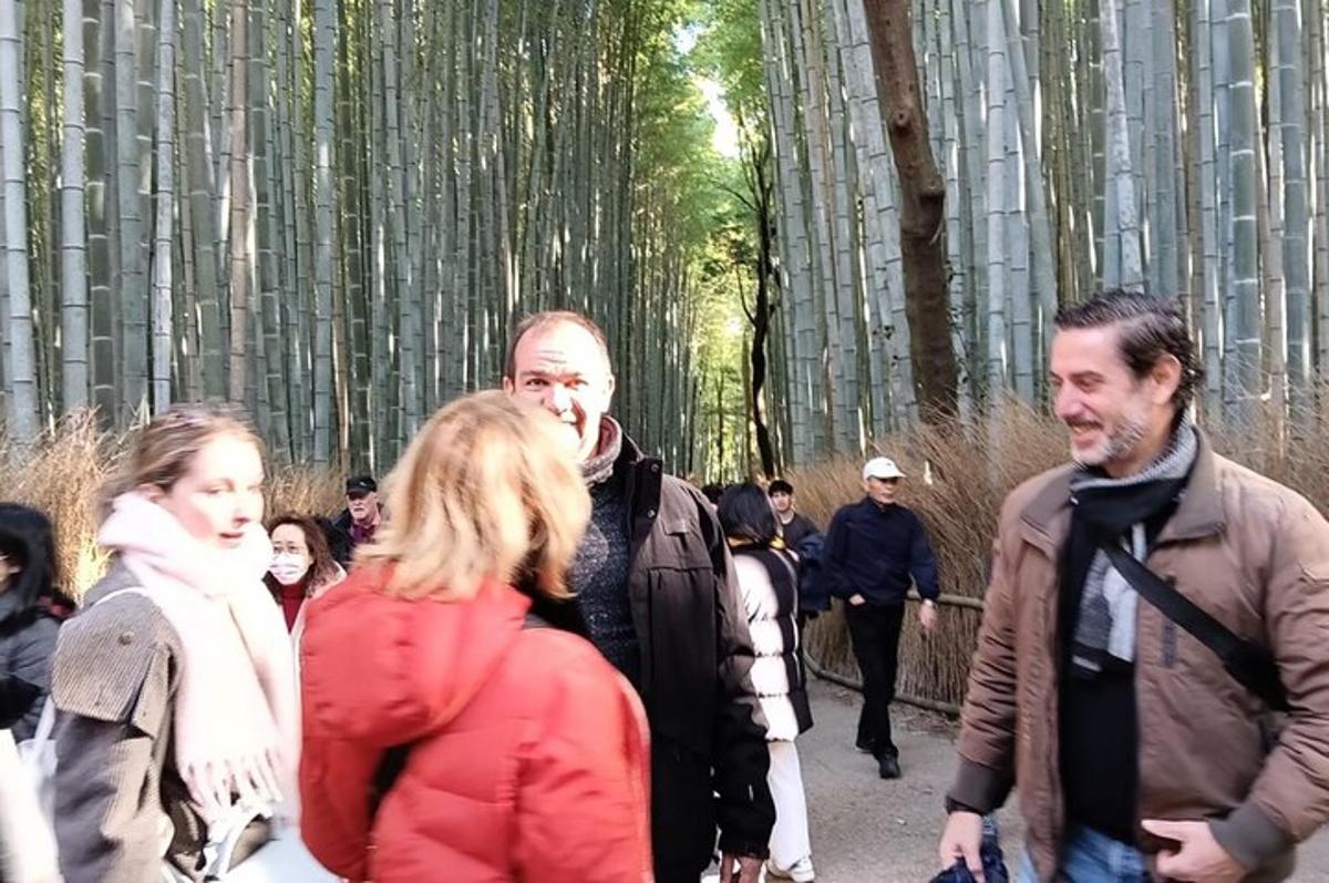 grupp inimesi, kes kõnnivad läbi bambusmetsa