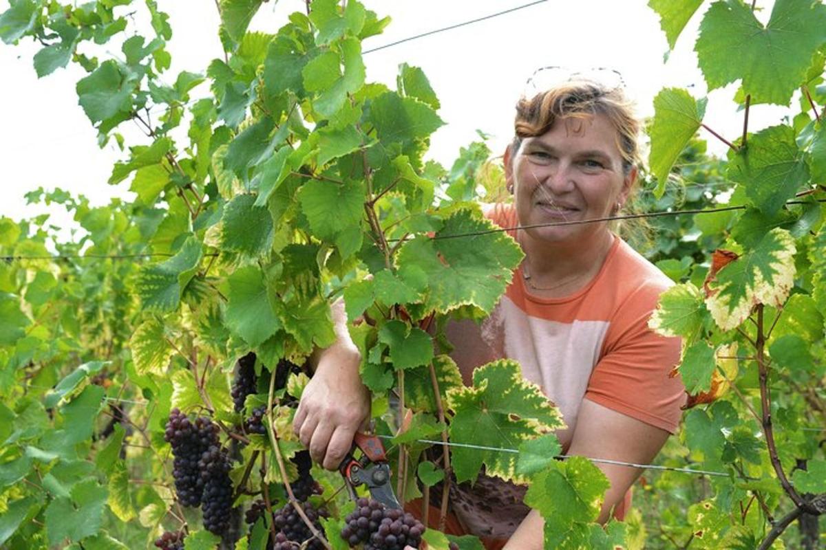 a woman is standing next to a bunch of grapes