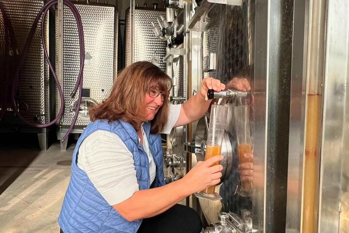 Visite de cave and dégustation au féminin - formule gourmande – photo 3