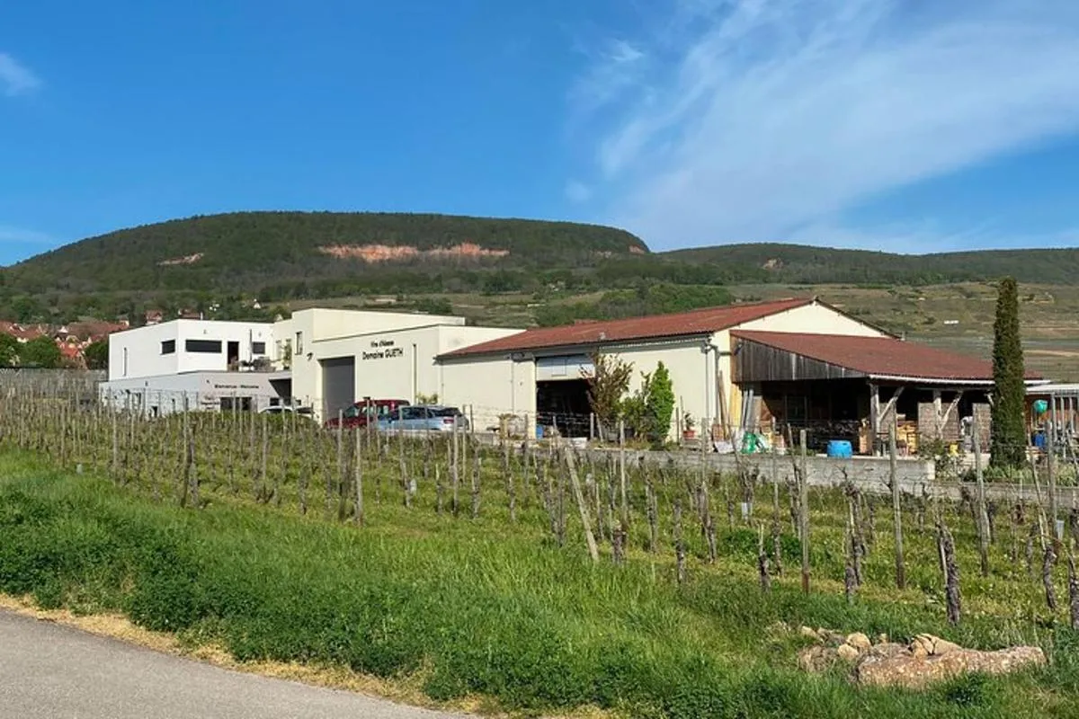 Visite de cave and dégustation au féminin - formule gourmande – photo 6