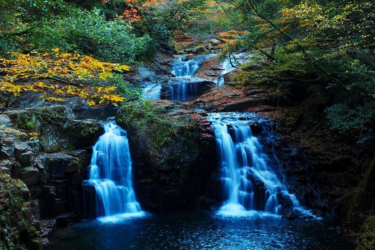 a waterfall in the middle of a forest