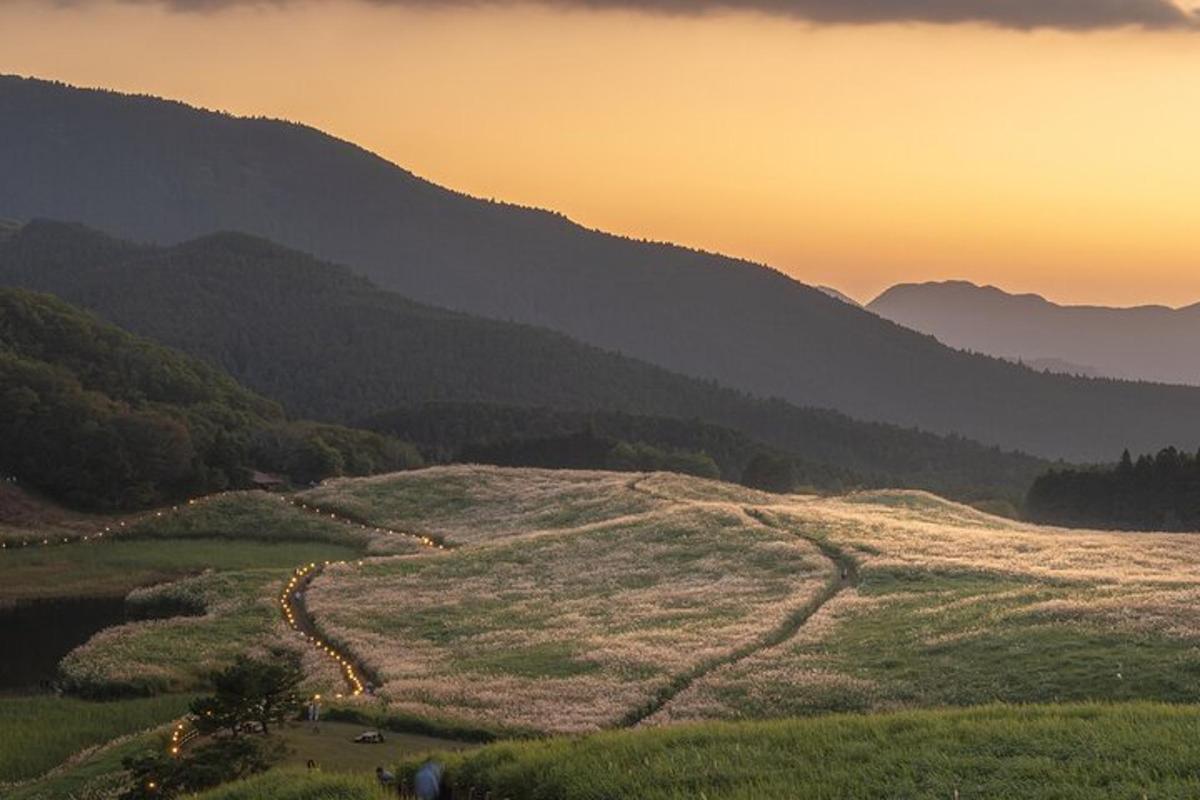 a view of a field with mountains in the background