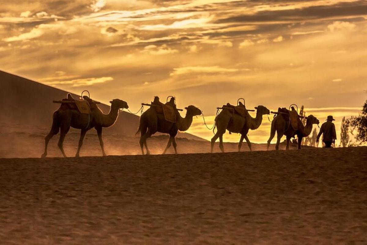 a group of people riding camels in the desert