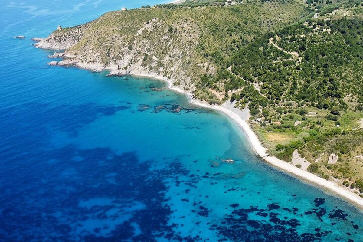 an aerial view of a beach and the ocean