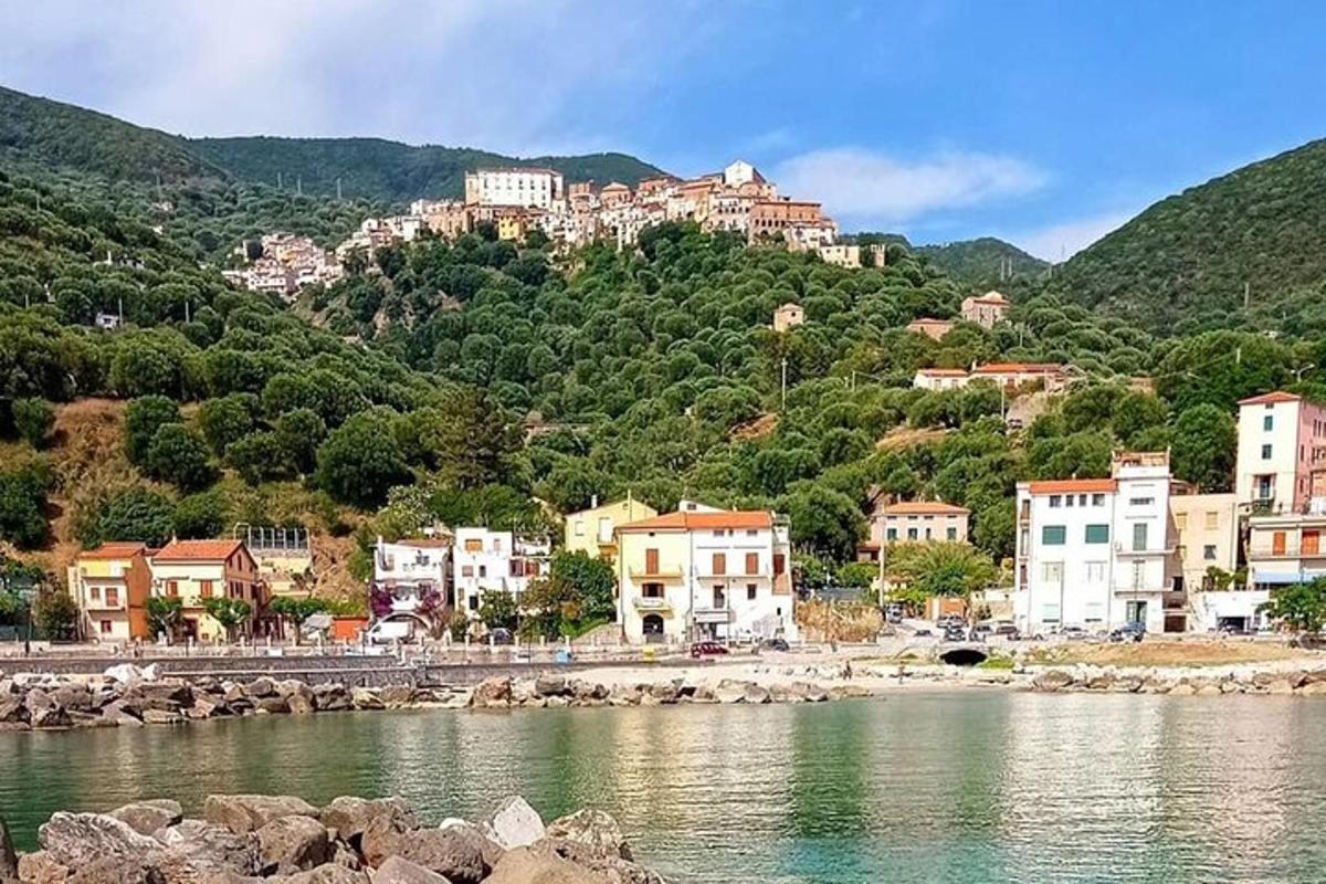 a group of houses on a hill next to a body of water