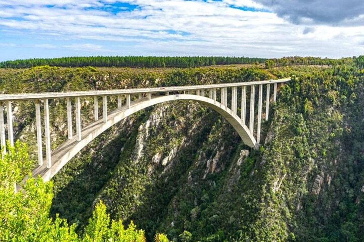 un ponte in cima a una montagna con alberi