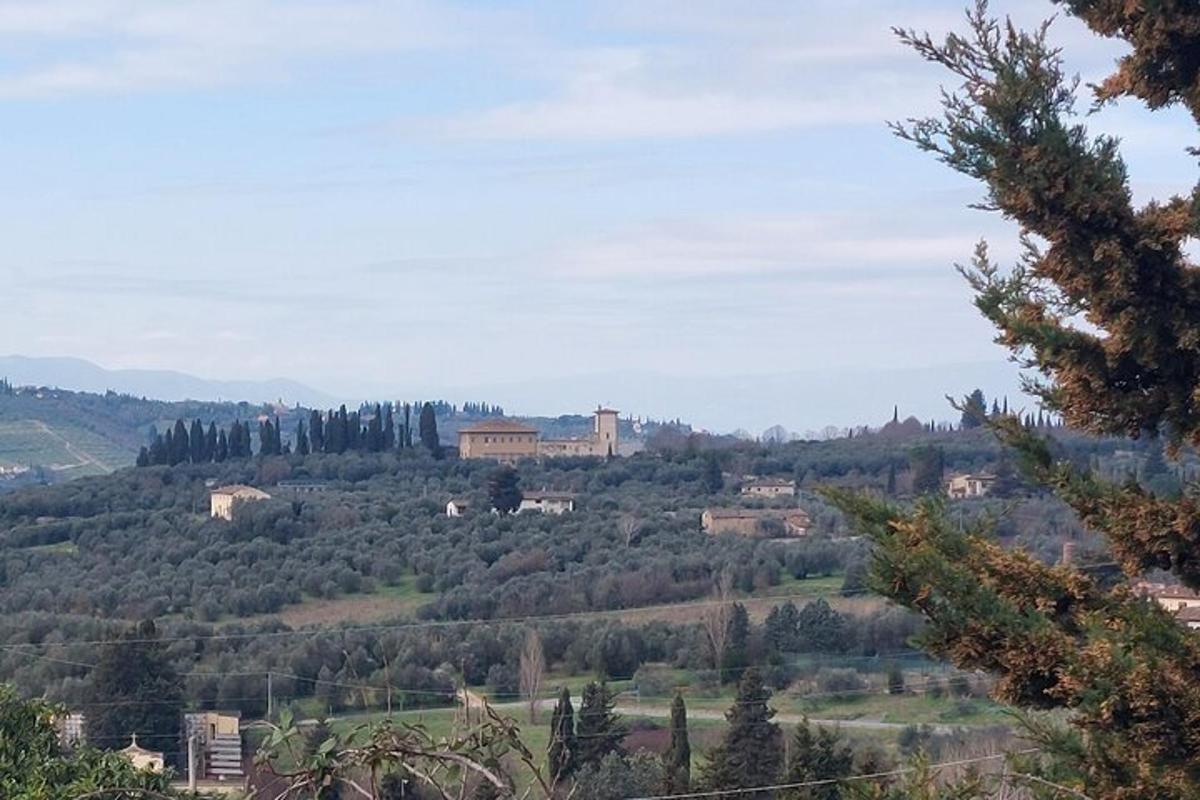 a view of a town on a hill with trees