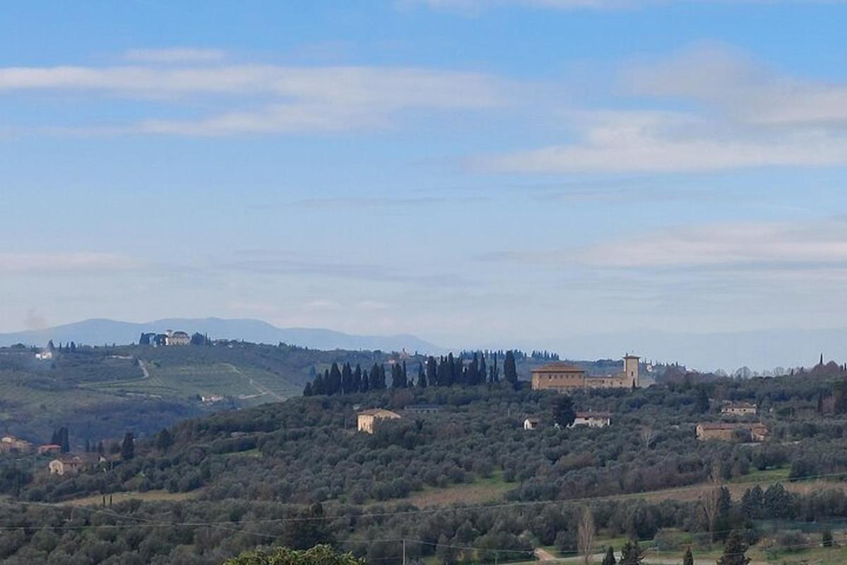a view of a hill with trees and buildings