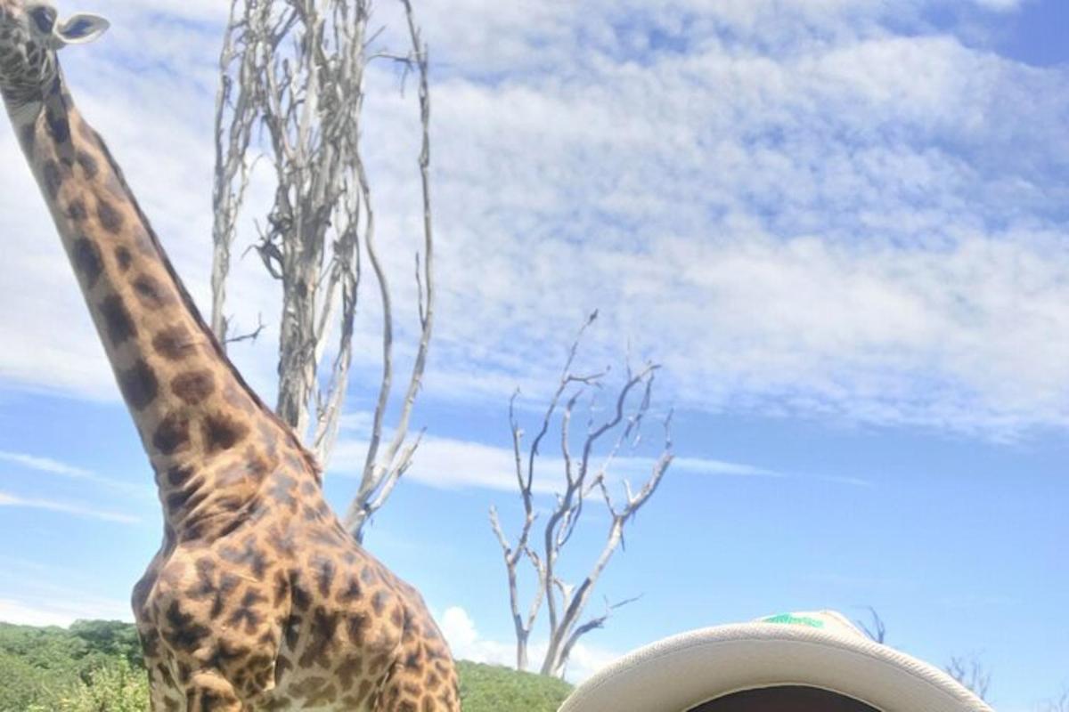 una giraffa in piedi con il braccio alzato in aria