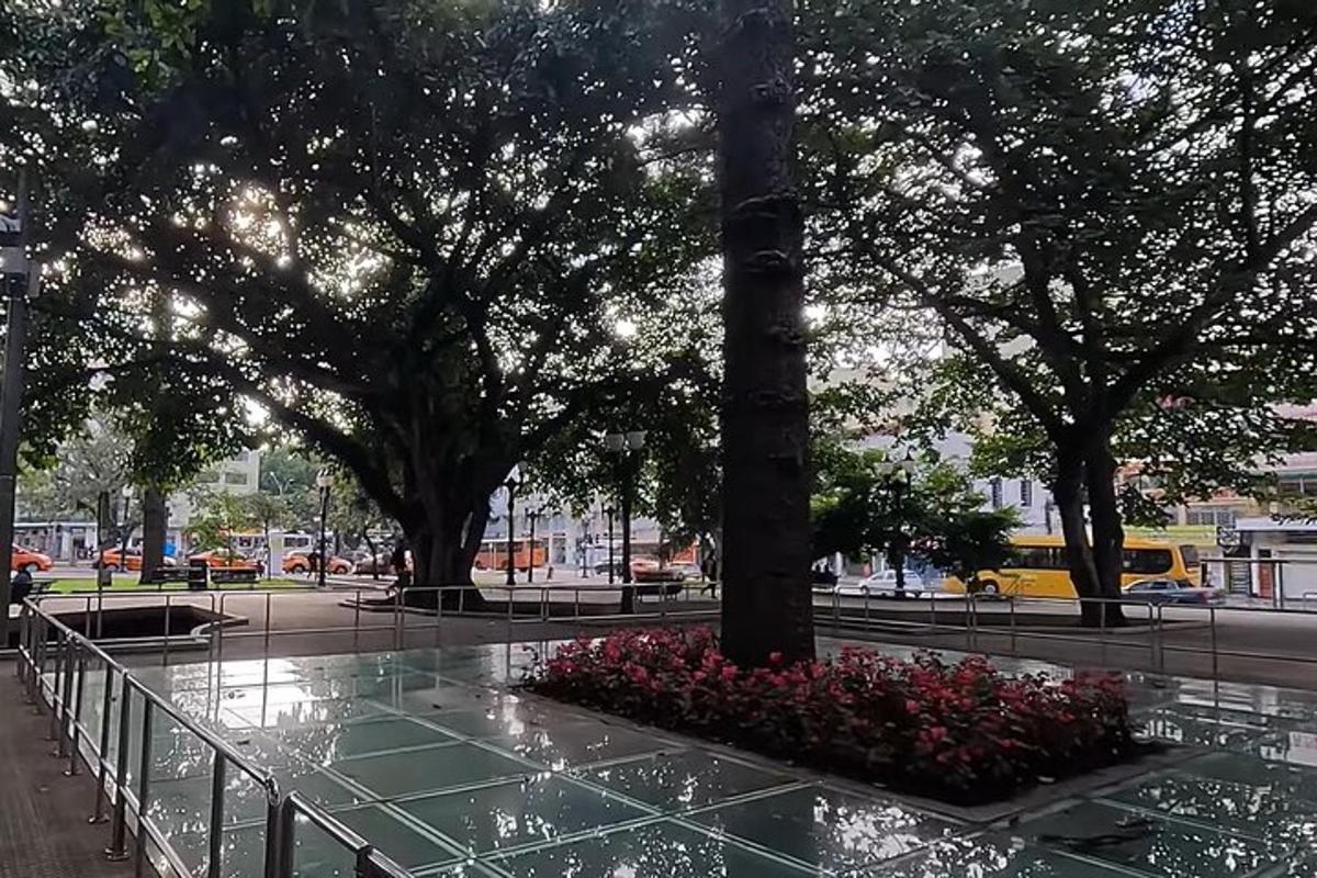 park se stromy a květinami na městské ulici