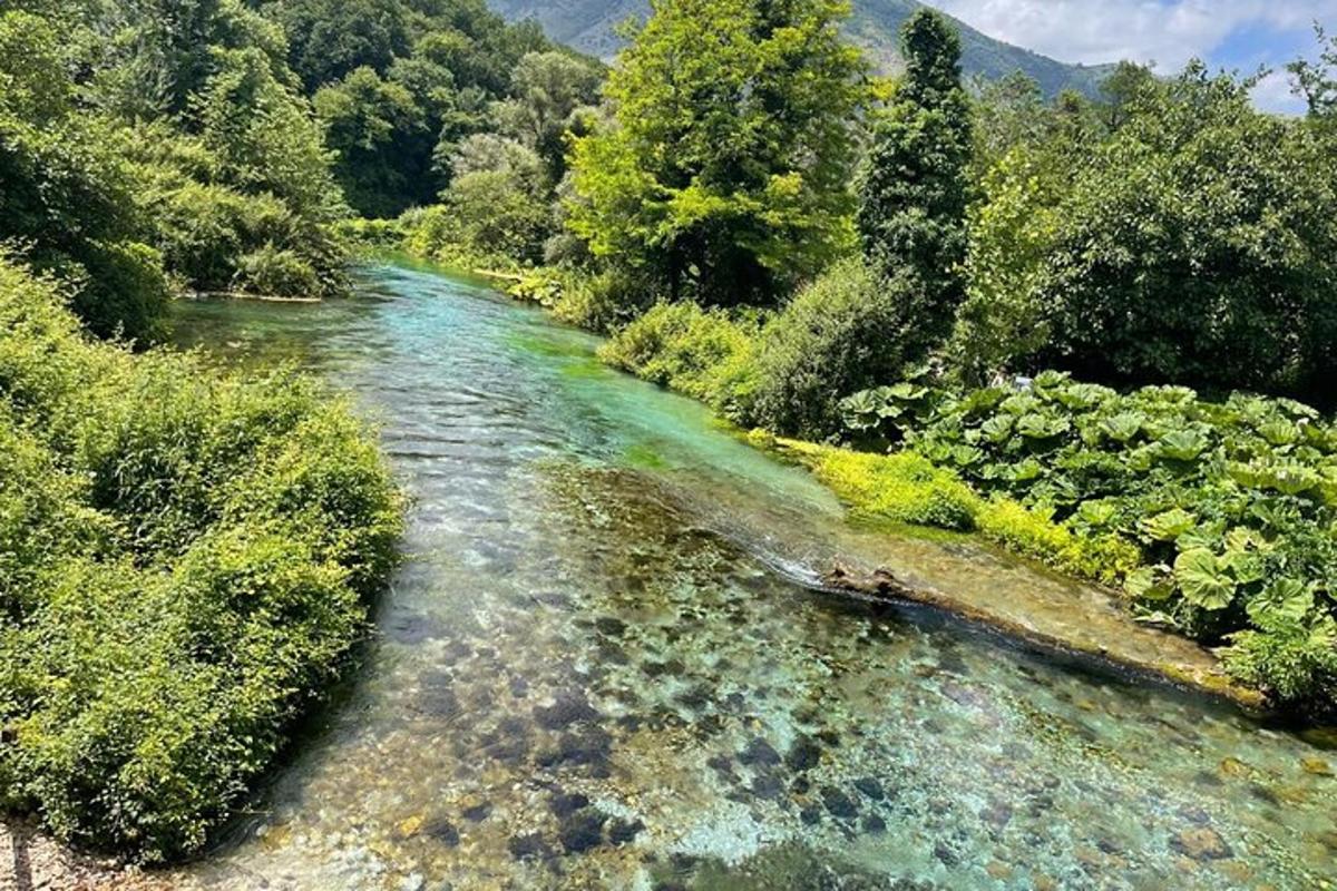 una vista aérea de un río en un bosque