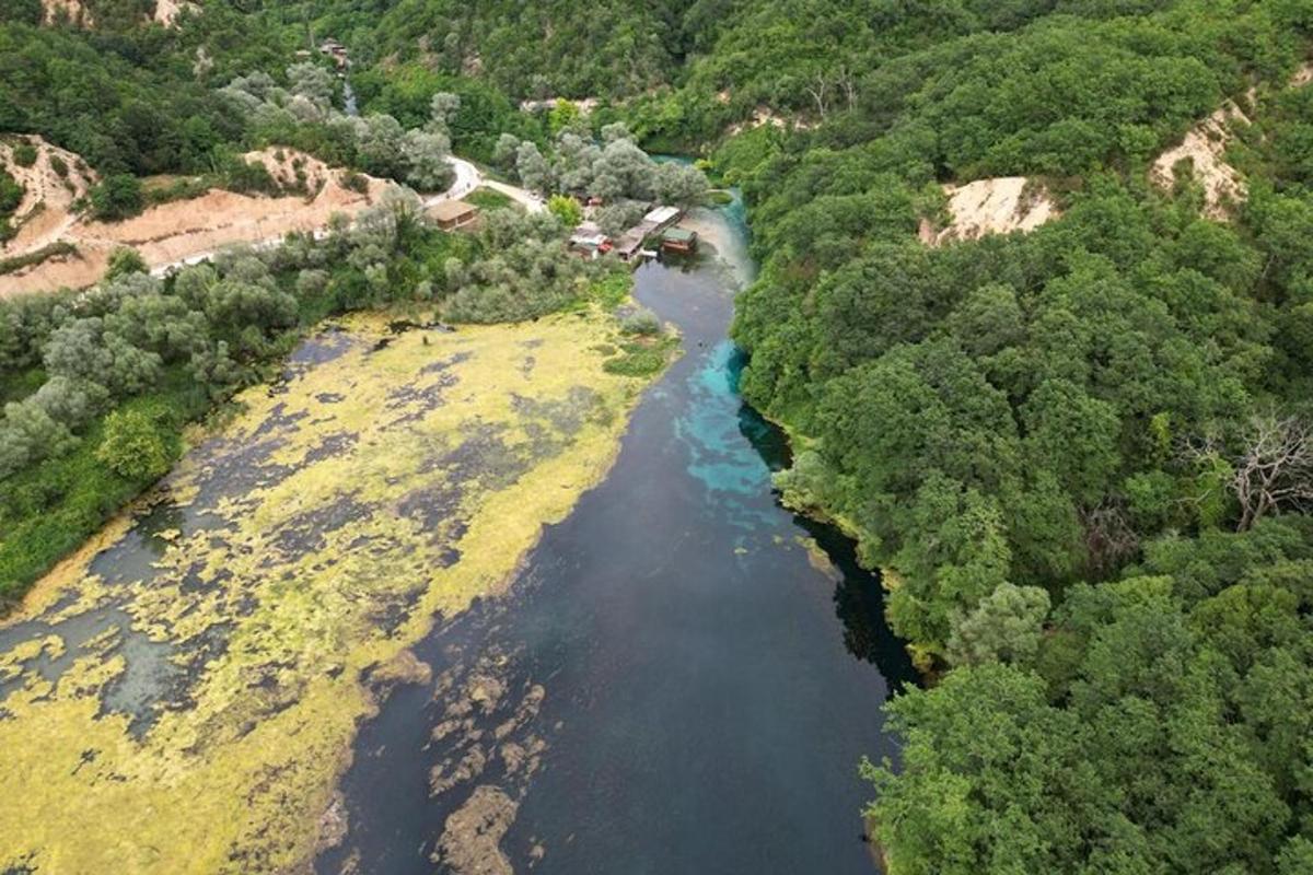 una vista aérea de un río con árboles