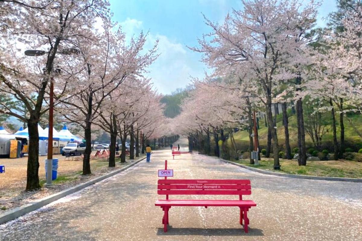 a red bench in a park with cherry trees
