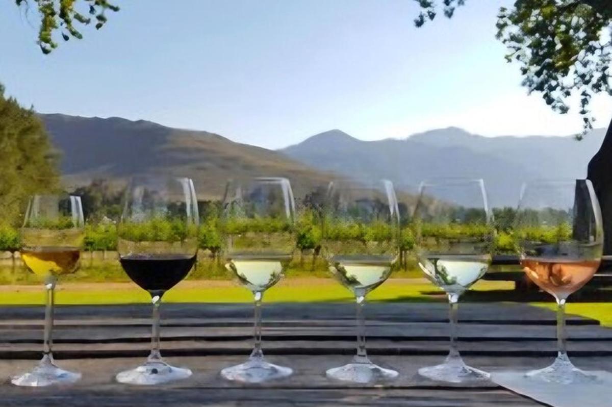 Una fila de copas de vino sobre una mesa