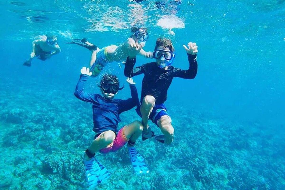 một nhóm người đang bơi trong nước
