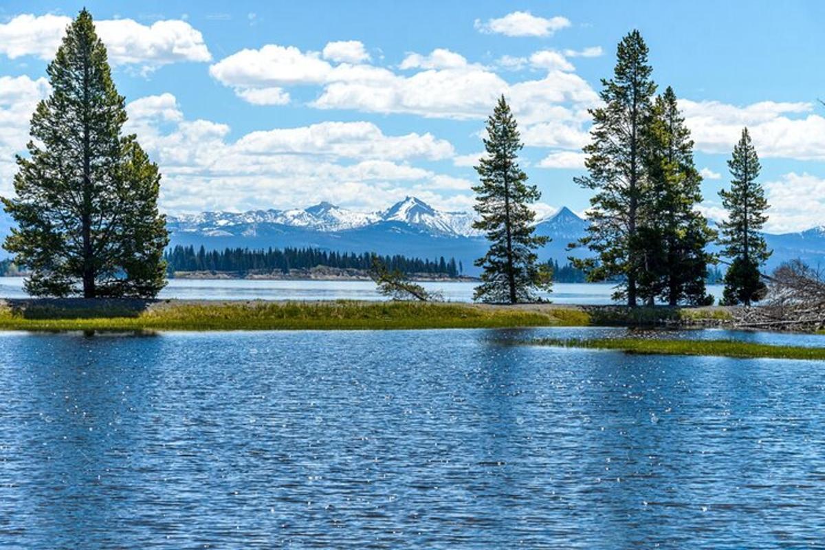 una piccola isola in mezzo a un lago con alberi