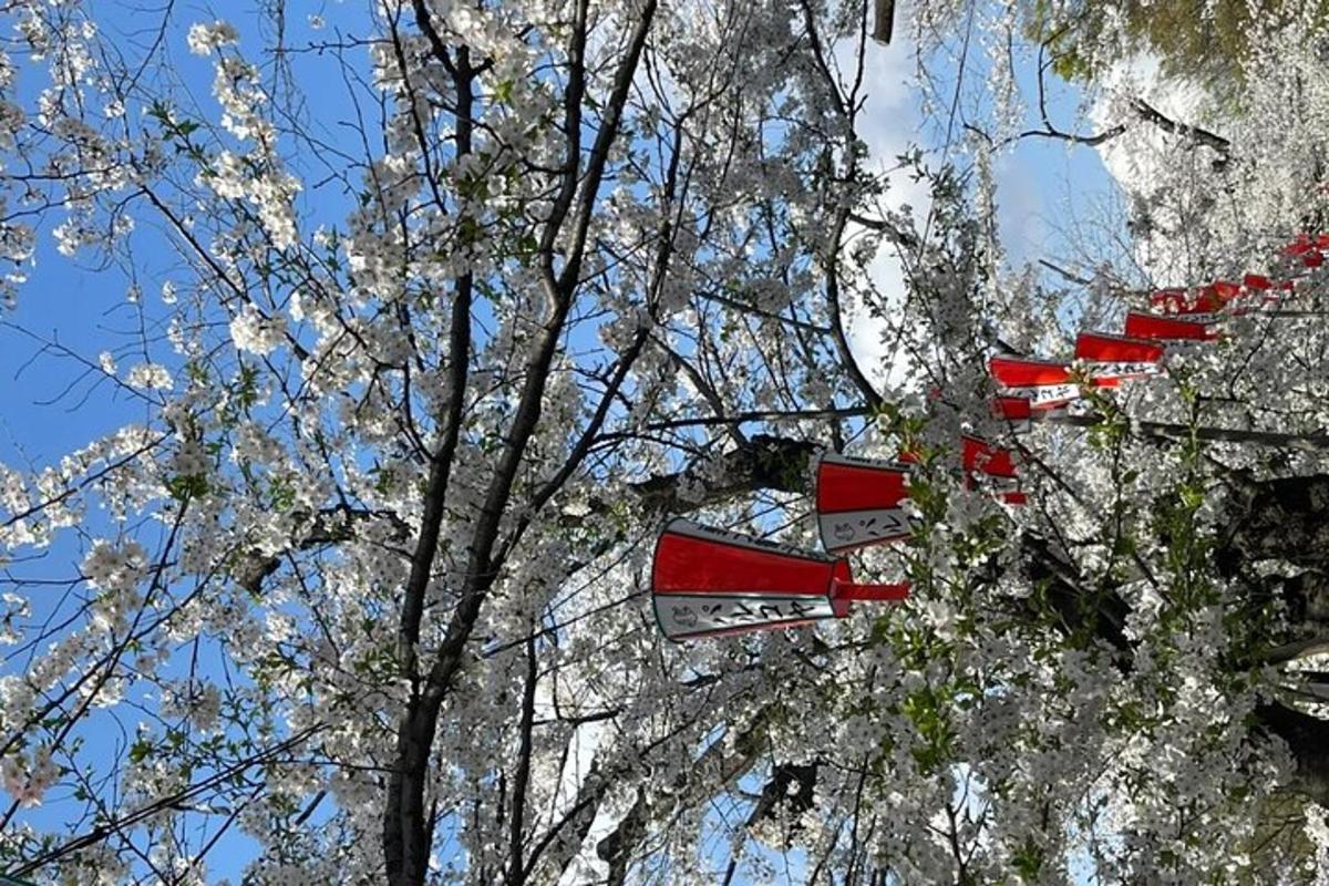 ένα δέντρο με λευκά λουλούδια και πινακίδες δρόμου πάνω του