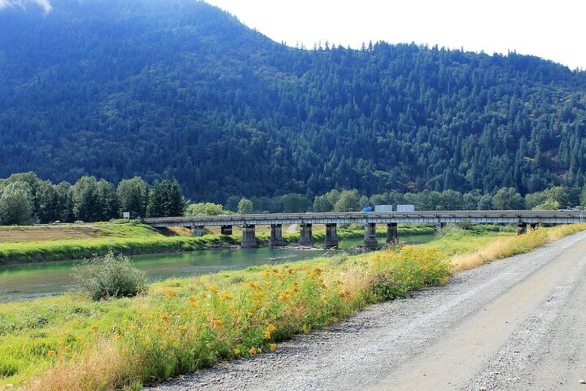 Un puente sobre un río con un tren en él