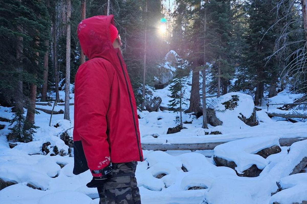 a person in a red jacket standing in the snow