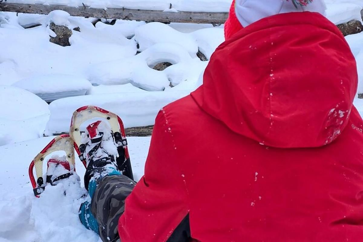 a person in a red jacket sitting in the snow