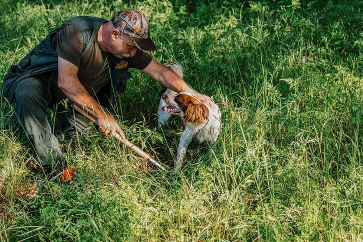 seorang lelaki bermain dengan anjing di rumput