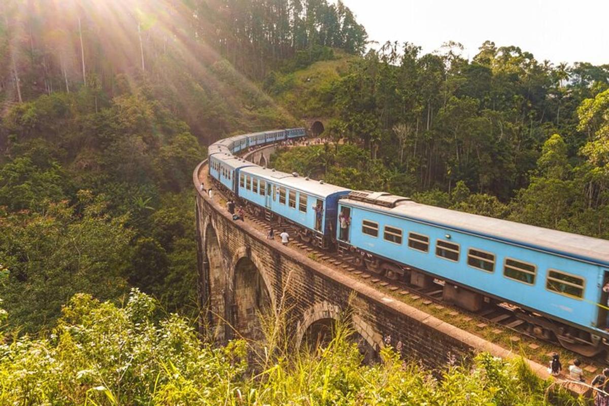 a blue train on a bridge in the forest