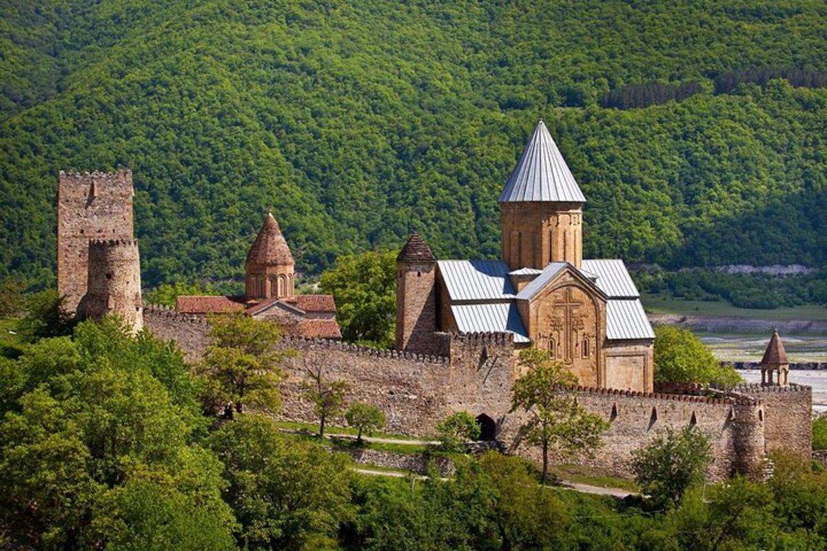 um antigo castelo em uma colina com árvores