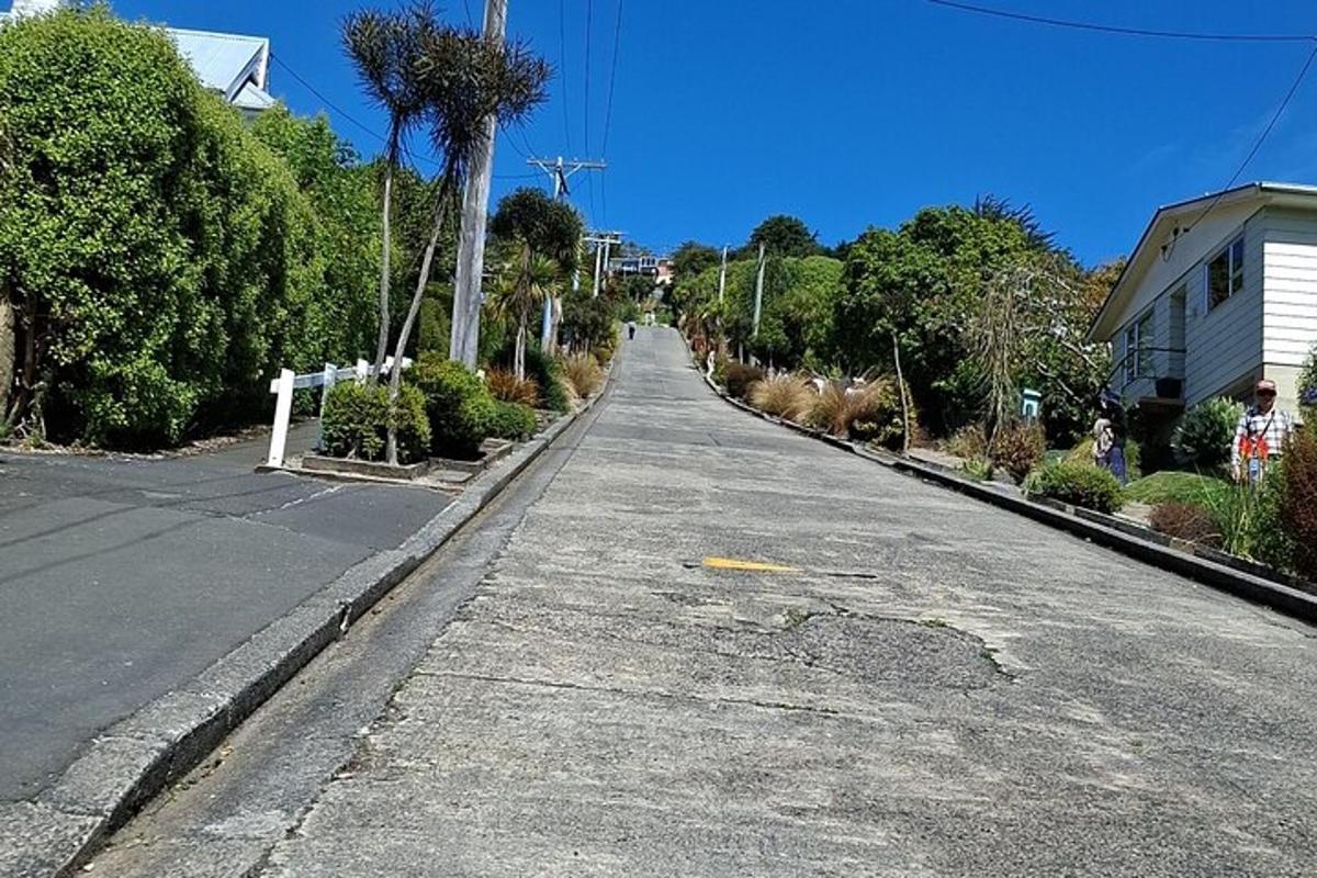 an empty street with trees on the side of the road