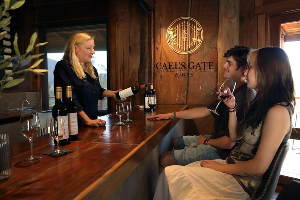 una donna seduta al bar con dei bicchieri di vino