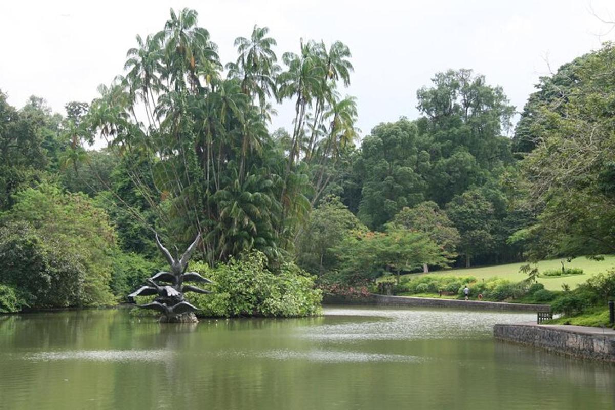 a pond in a park with trees and bushes