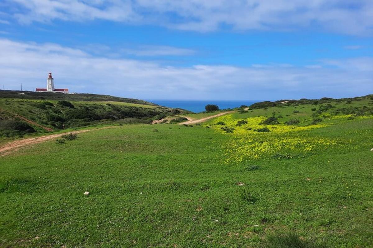 un campo di erba verde con un faro su una collina