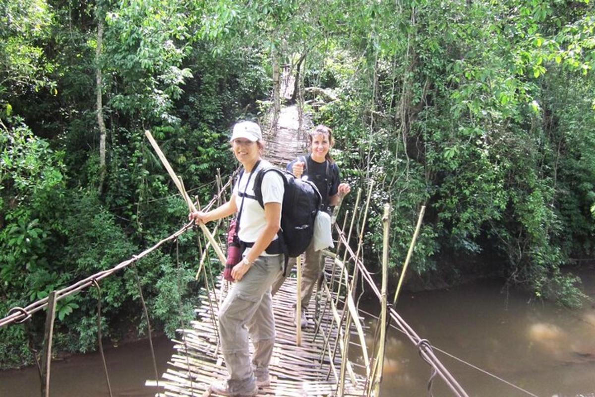 two people crossing a suspension bridge in the jungle