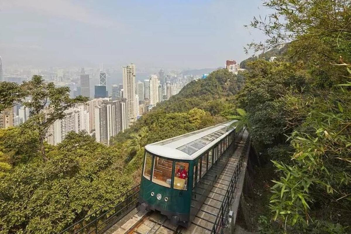 a green train on a hill with a city