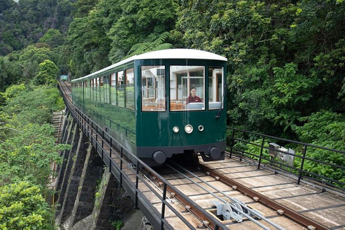 a green train on a bridge in a forest